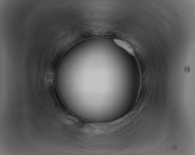 X0000100870033200806201252