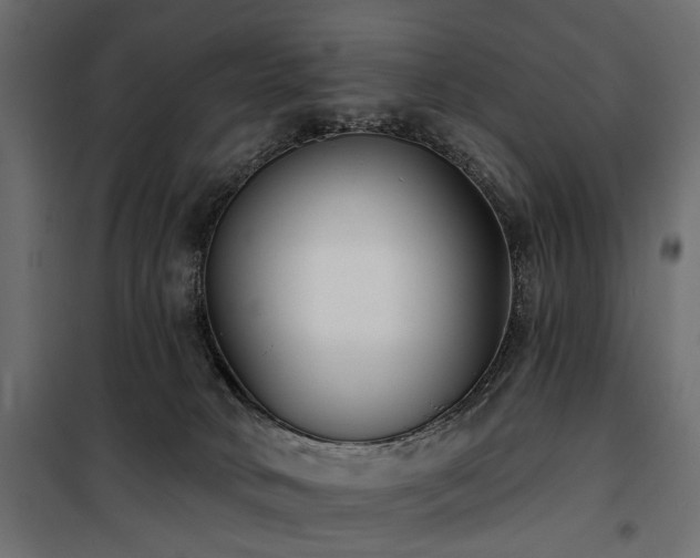 X0000100870034200806201252