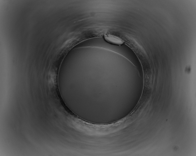 X0000100870035200806201252