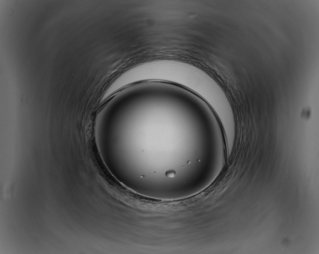 X0000100870036200806201252