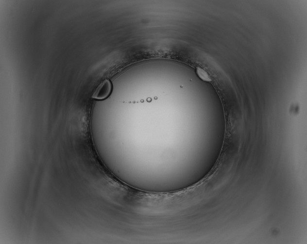 X0000100870037200806201252