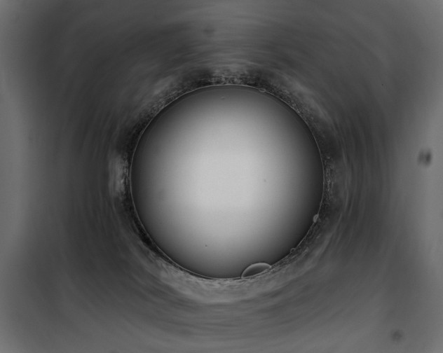 X0000100870038200806201252