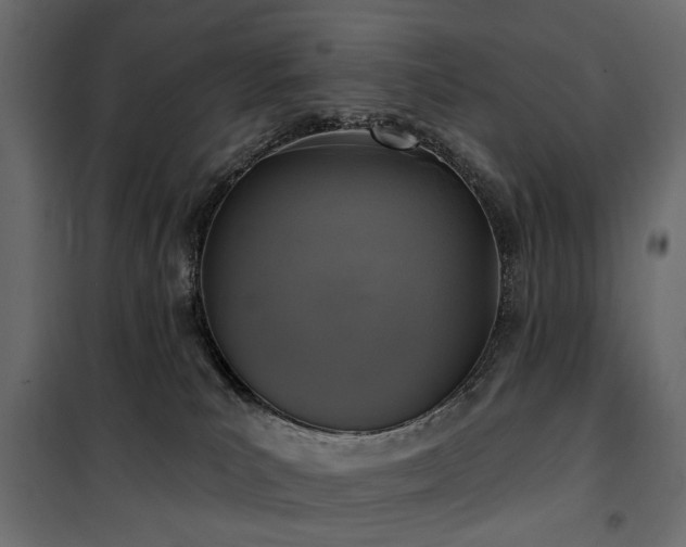 X0000100870039200806201252