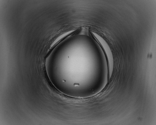 X0000100870040200806201252