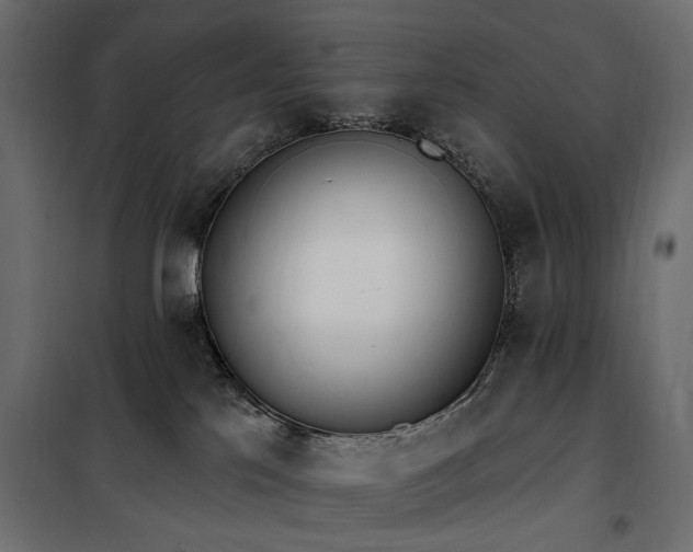 X0000100870041200806201252