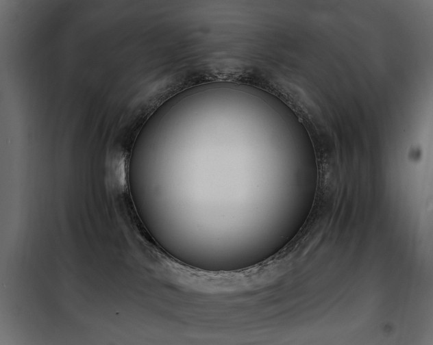 X0000100870042200806201252