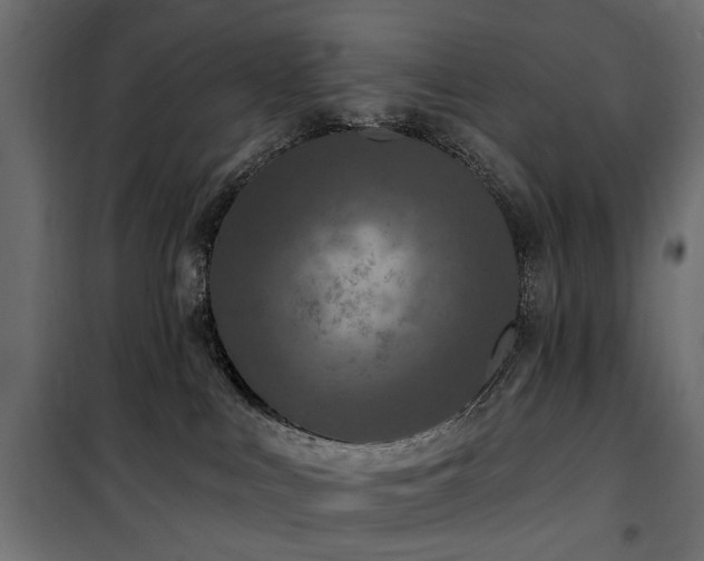 X0000100870043200806201252