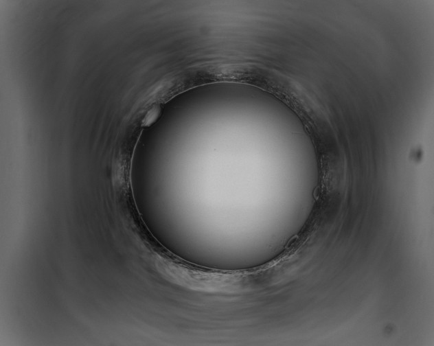 X0000100870044200806201252