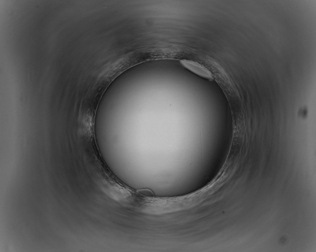 X0000100870045200806201252