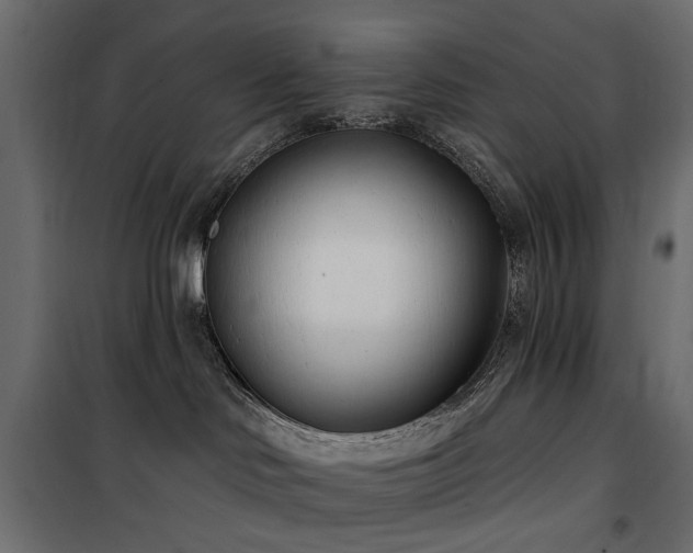 X0000100870046200806201252