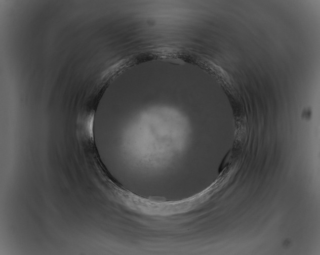 X0000100870047200806201252