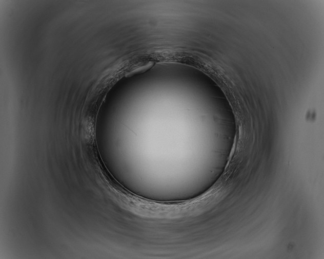 X0000100870048200806201252