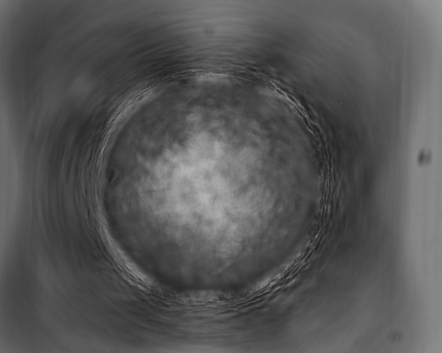 X0000100870049200806201251