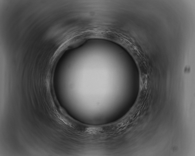 X0000100870051200806201251