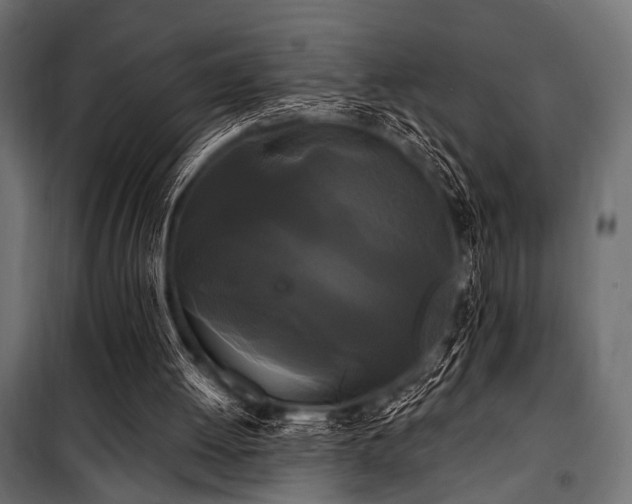 X0000100870052200806201251