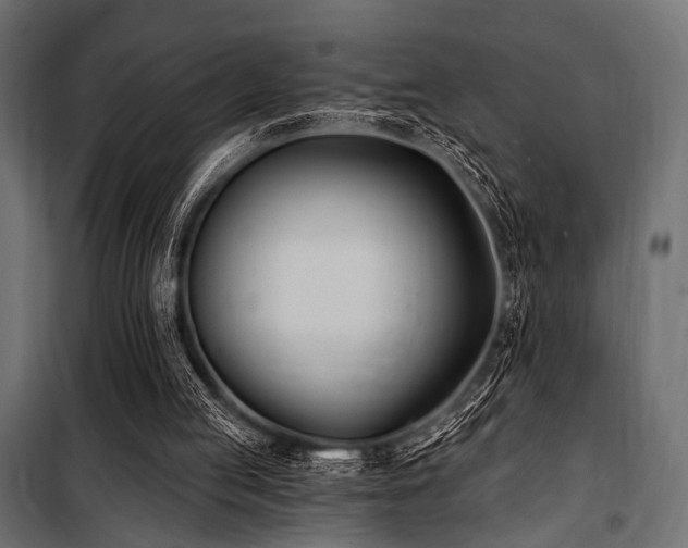 X0000100870053200806201251