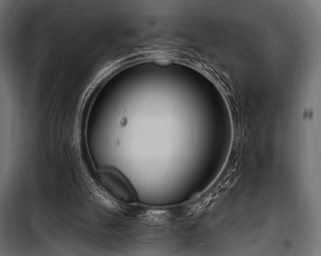 X0000100870055200806201251