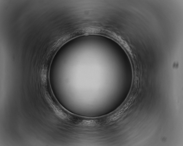 X0000100870057200806201251