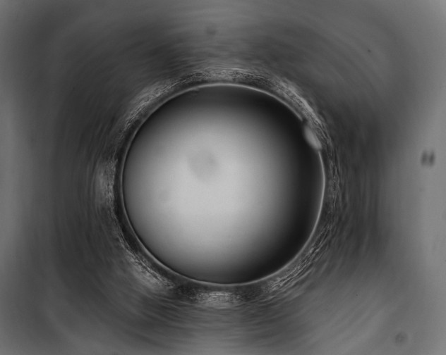 X0000100870058200806201251