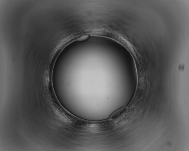 X0000100870059200806201251