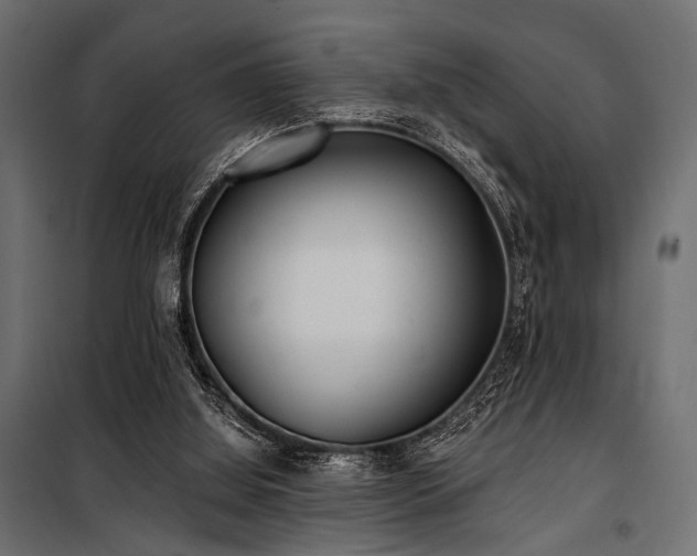 X0000100870060200806201251