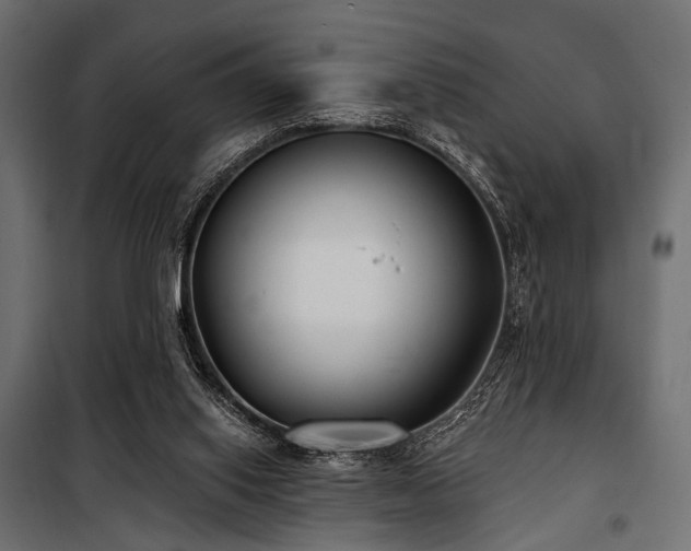 X0000100870062200806201251