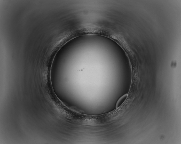 X0000100870066200806201251