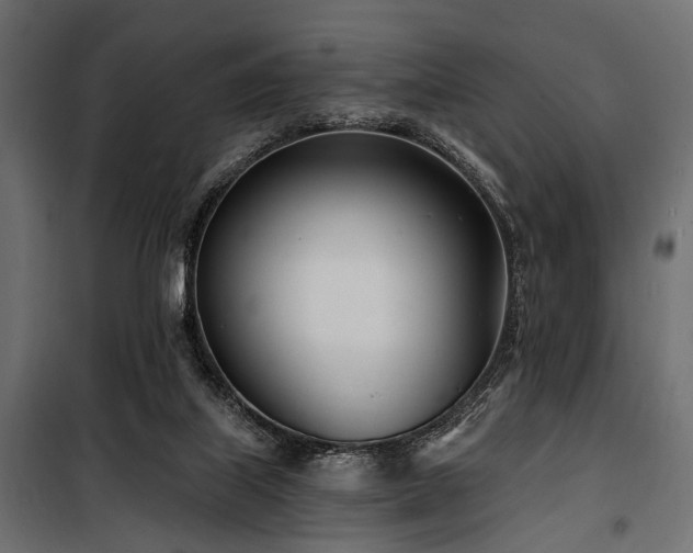 X0000100870067200806201251