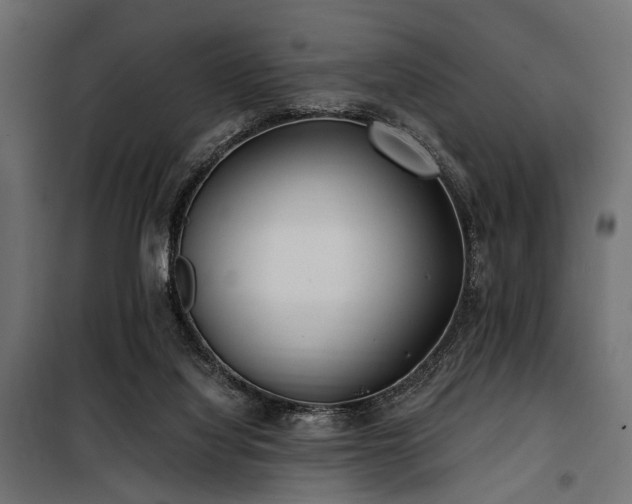 X0000100870068200806201251