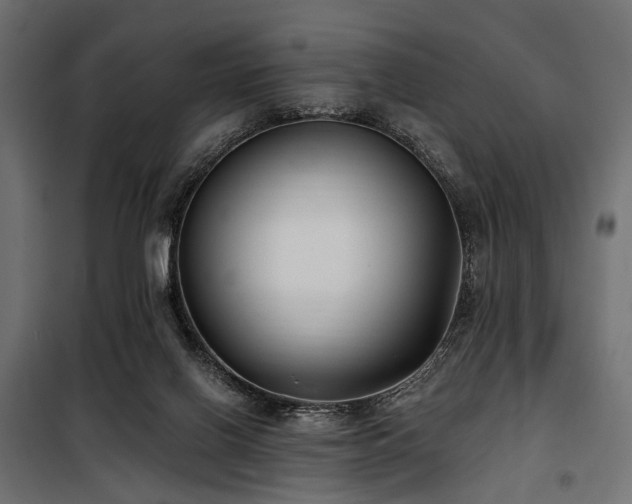 X0000100870070200806201251