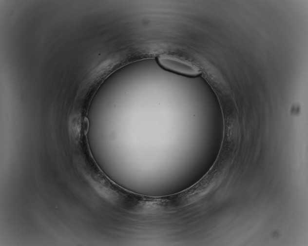 X0000100870072200806201251