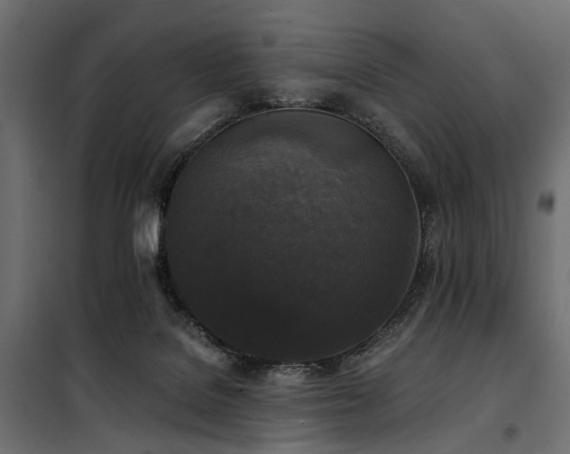 X0000100870076200806201251