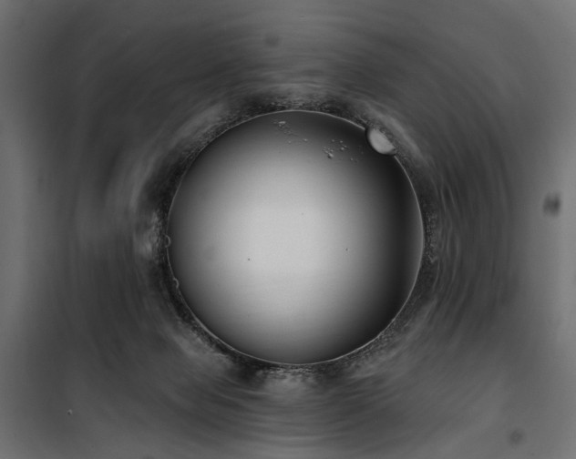 X0000100870077200806201251