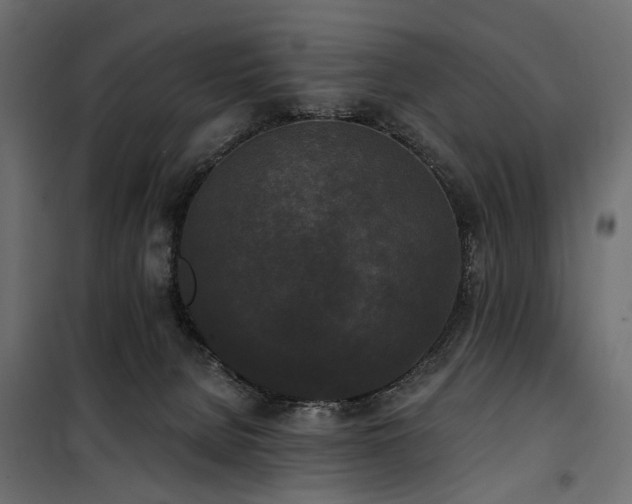 X0000100870080200806201251