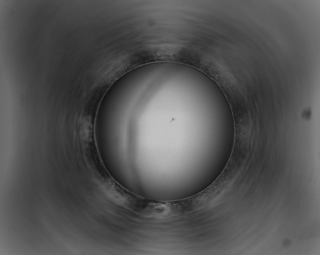 X0000100870083200806201251