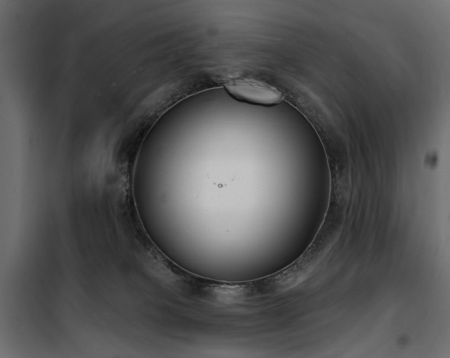 X0000100870085200806201251