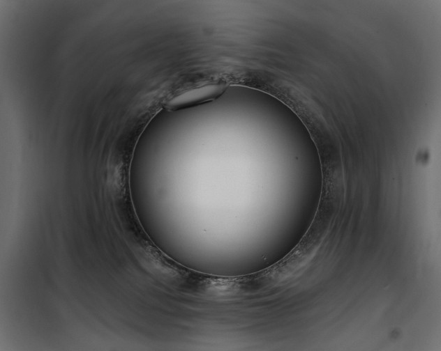 X0000100870088200806201251