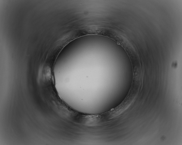 X0000100870089200806201251