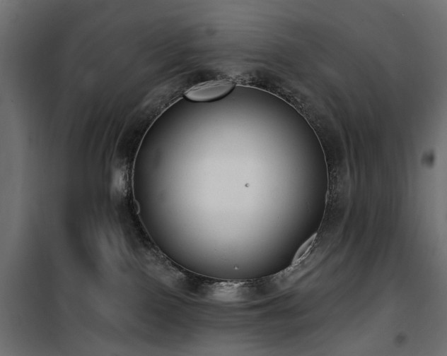 X0000100870090200806201251