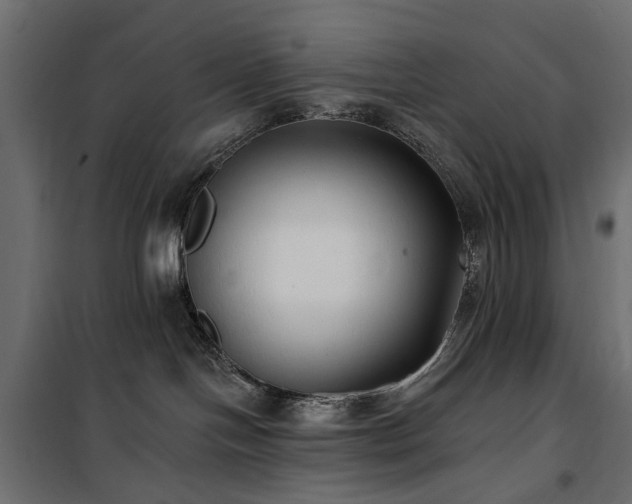 X0000100870094200806201251