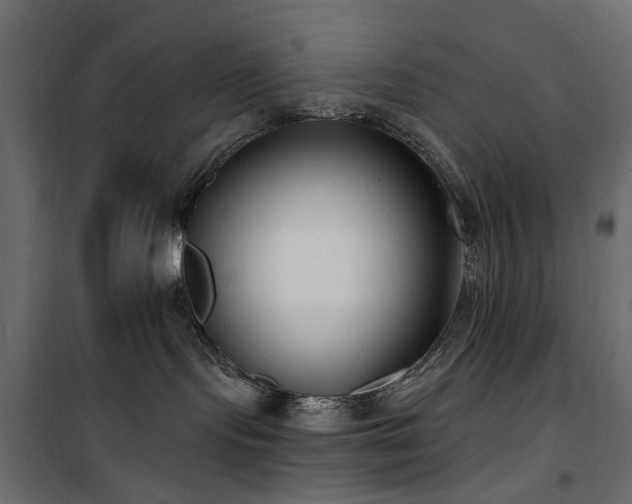 X0000100870095200806201252