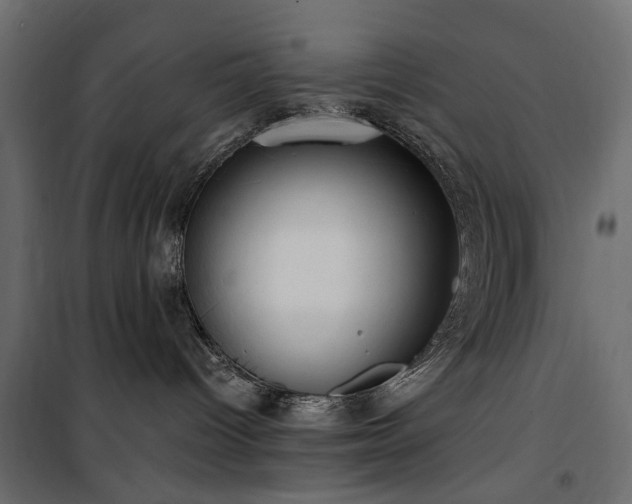 X0000100870096200806201252