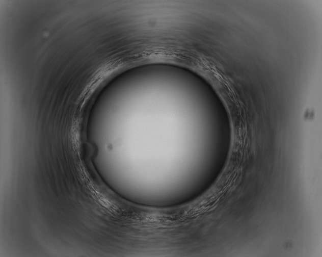 X0000100870098200806201251