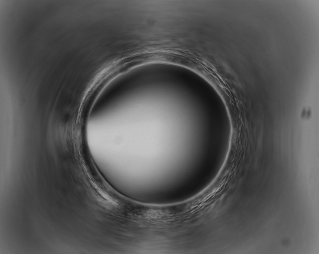 X0000100870101200806201250