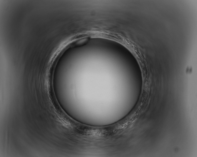 X0000100870103200806201250