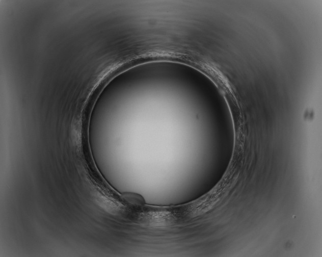 X0000100870108200806201250