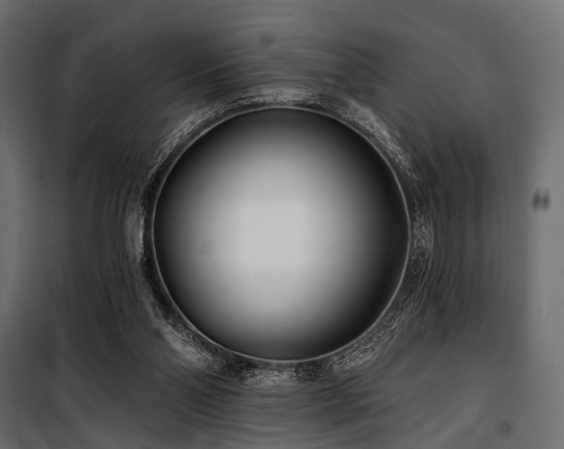 X0000100870110200806201250