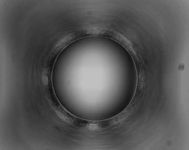 X0000100870114200806201250