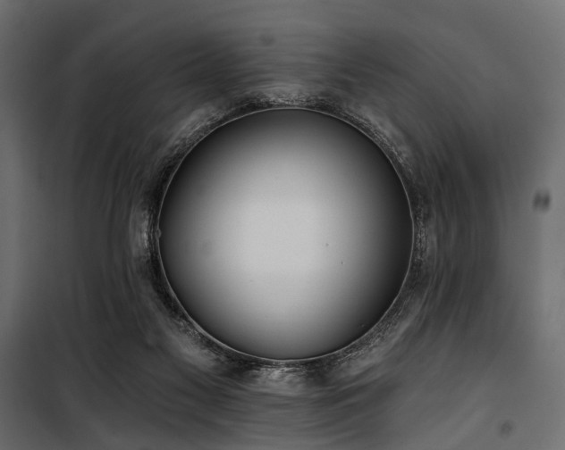 X0000100870117200806201250