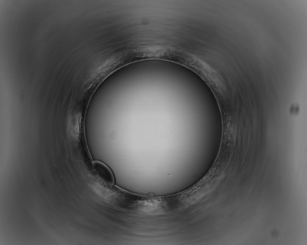 X0000100870118200806201250